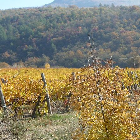 Podere Poggio Mendico อาเรซโซ ภายนอก รูปภาพ