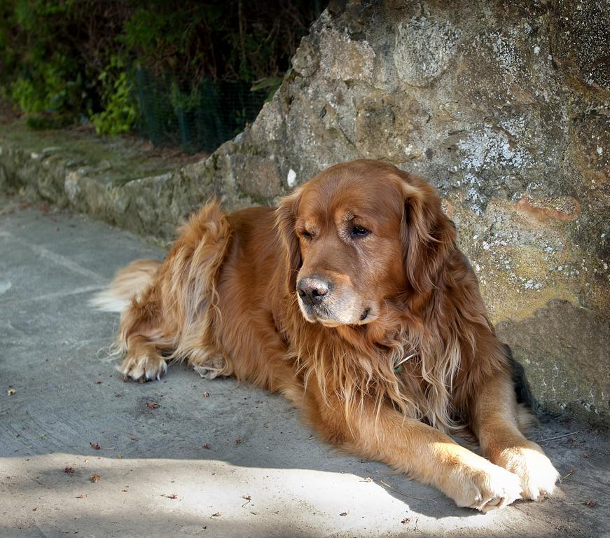 Podere Poggio Mendico อาเรซโซ ภายนอก รูปภาพ