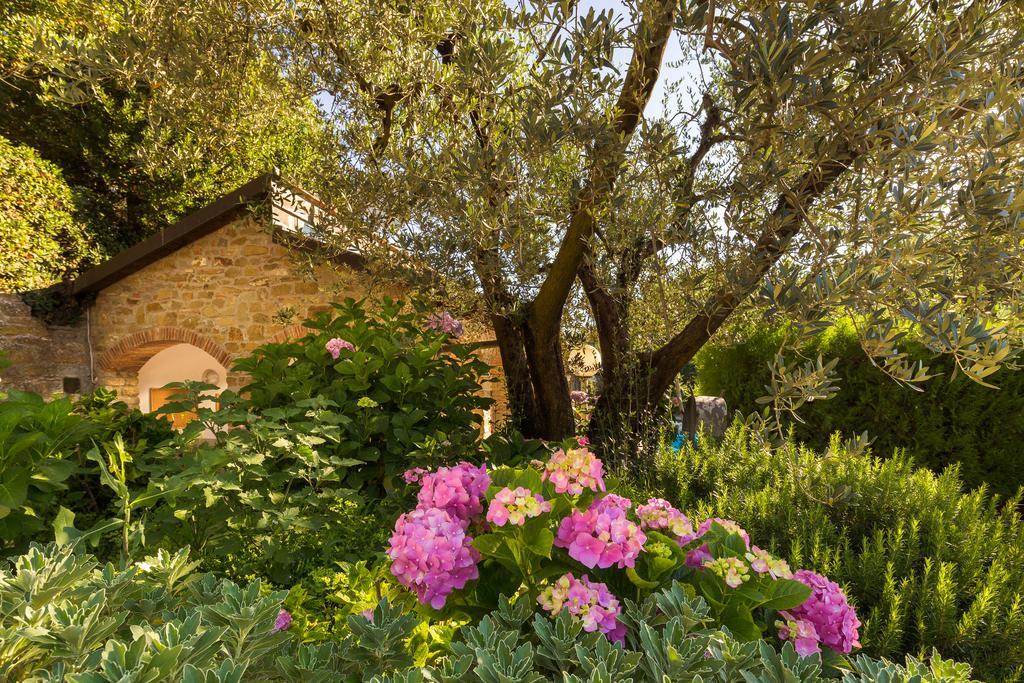 Podere Poggio Mendico อาเรซโซ ภายนอก รูปภาพ