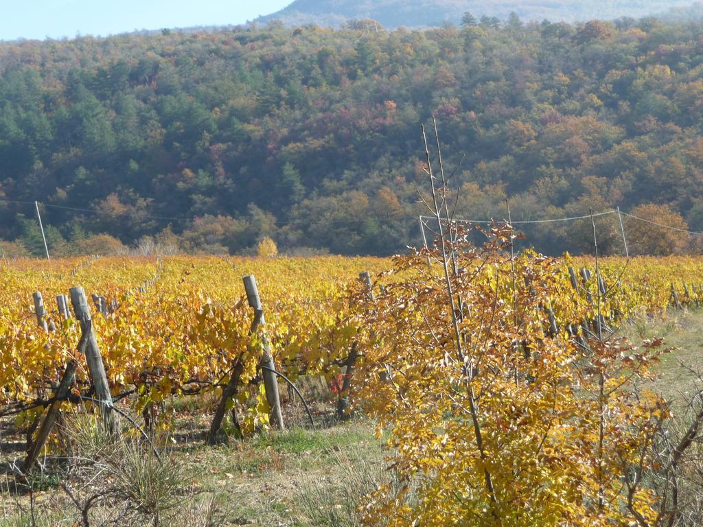 Podere Poggio Mendico อาเรซโซ ภายนอก รูปภาพ